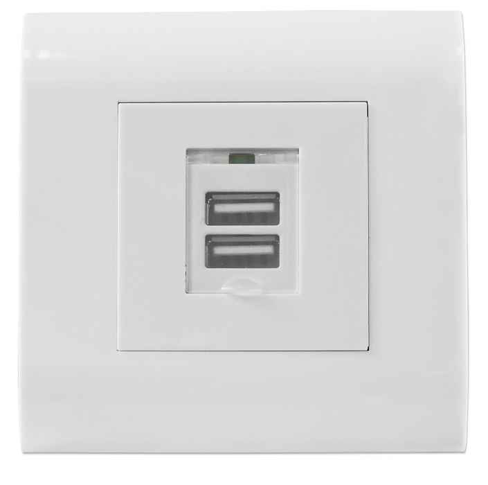 2-Port USB-A Wall Outlet with Faceplate Image 1