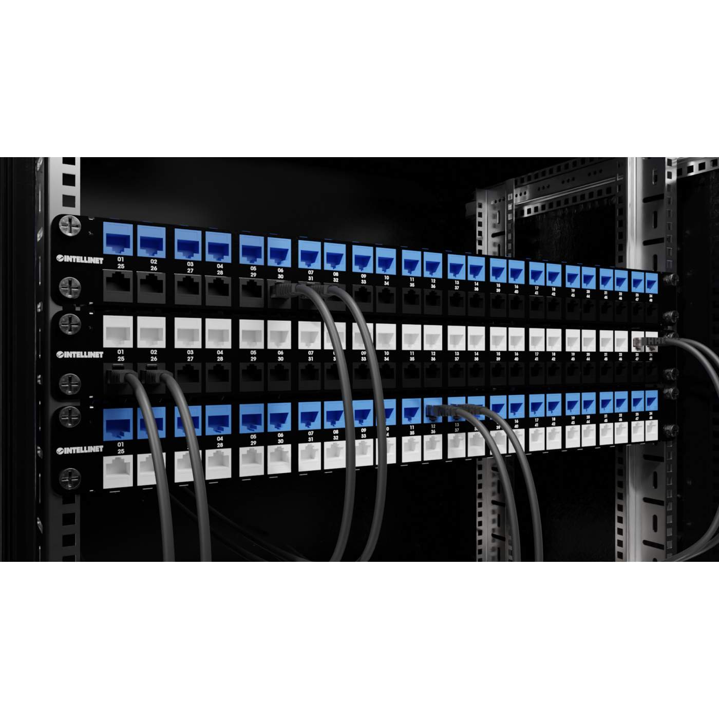 Intellinet 48-Port Shielded Blank Patch Panel, 1U (721028