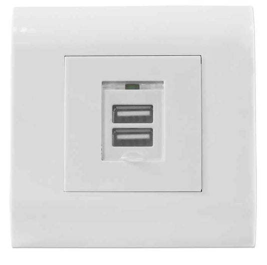 2-Port USB-A Wall Outlet with Faceplate Image 1